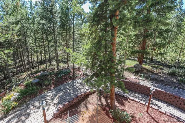 308 Red Hawk Circle Silverthorne, CO 80498