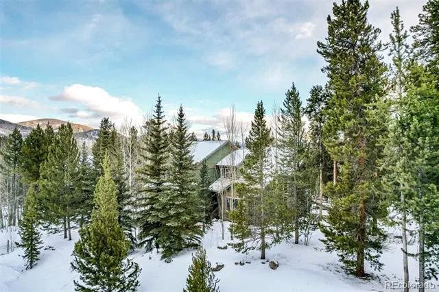 308 Red Hawk Circle Silverthorne, CO 80498