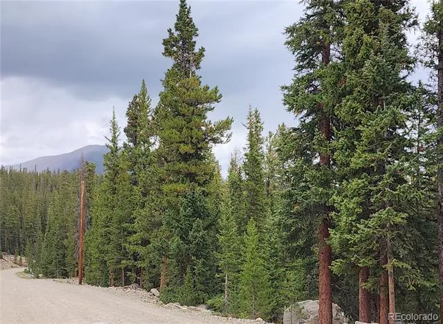806 Bobcat Lane Fairplay, CO 80440