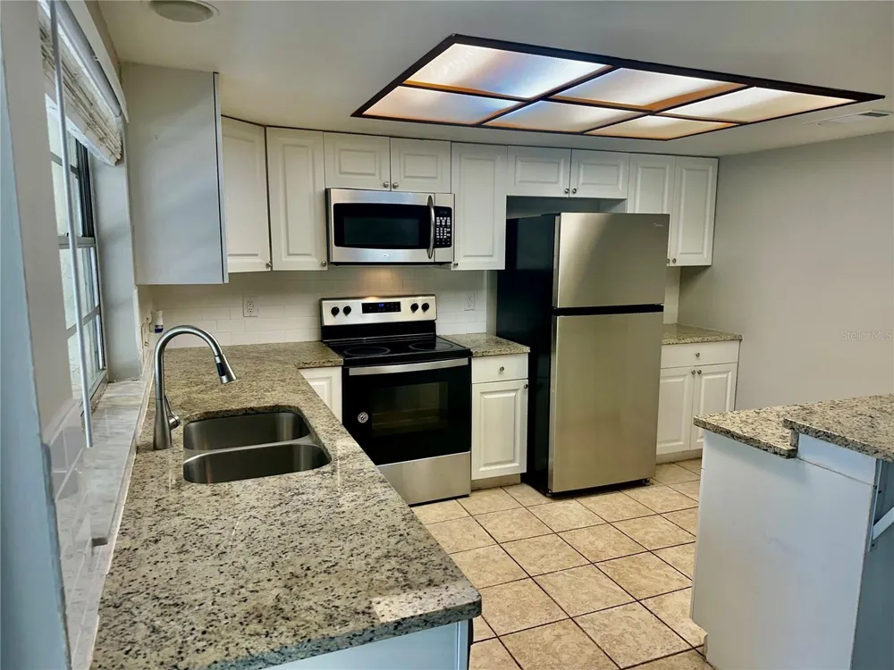 14752 MORNING DRIVE Lutz, FL 33559