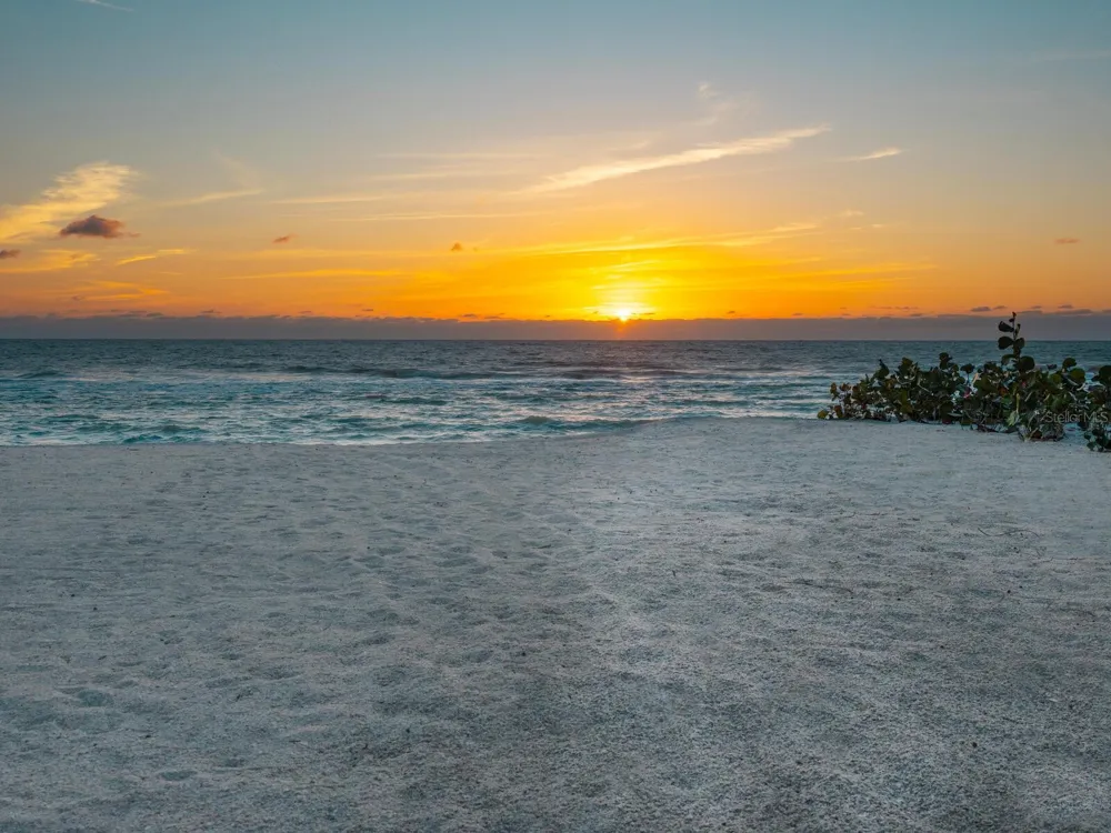 1216 CASEY KEY ROAD Osprey, FL 34229