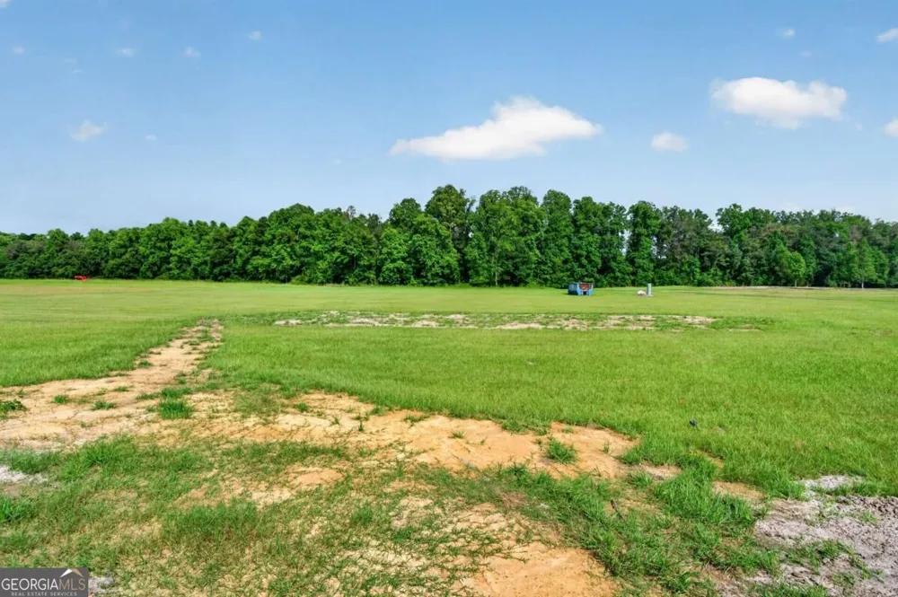 3634 Highway 121 Blackshear, GA 31516