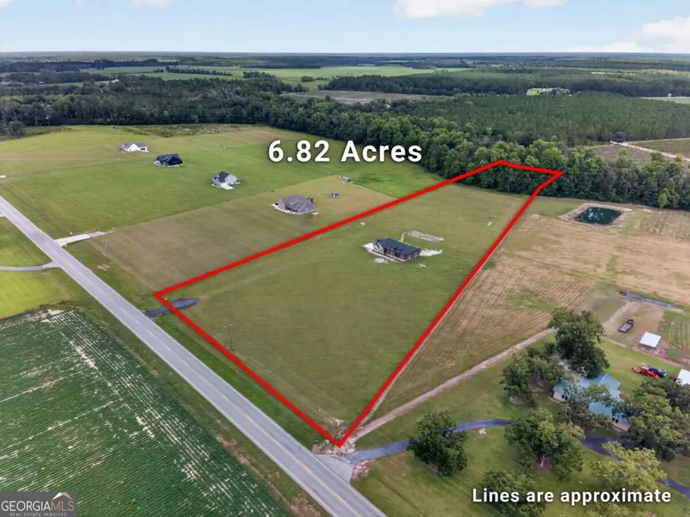 3634 Highway 121 Blackshear, GA 31516