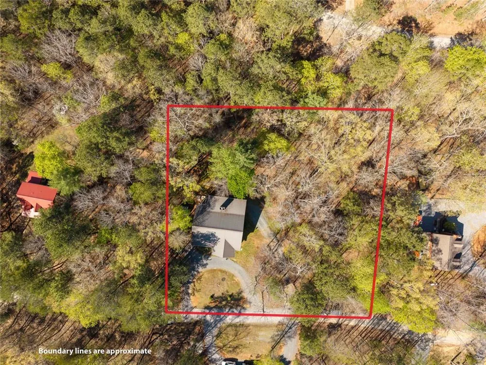144 Monet Drive Ellijay, GA 30540