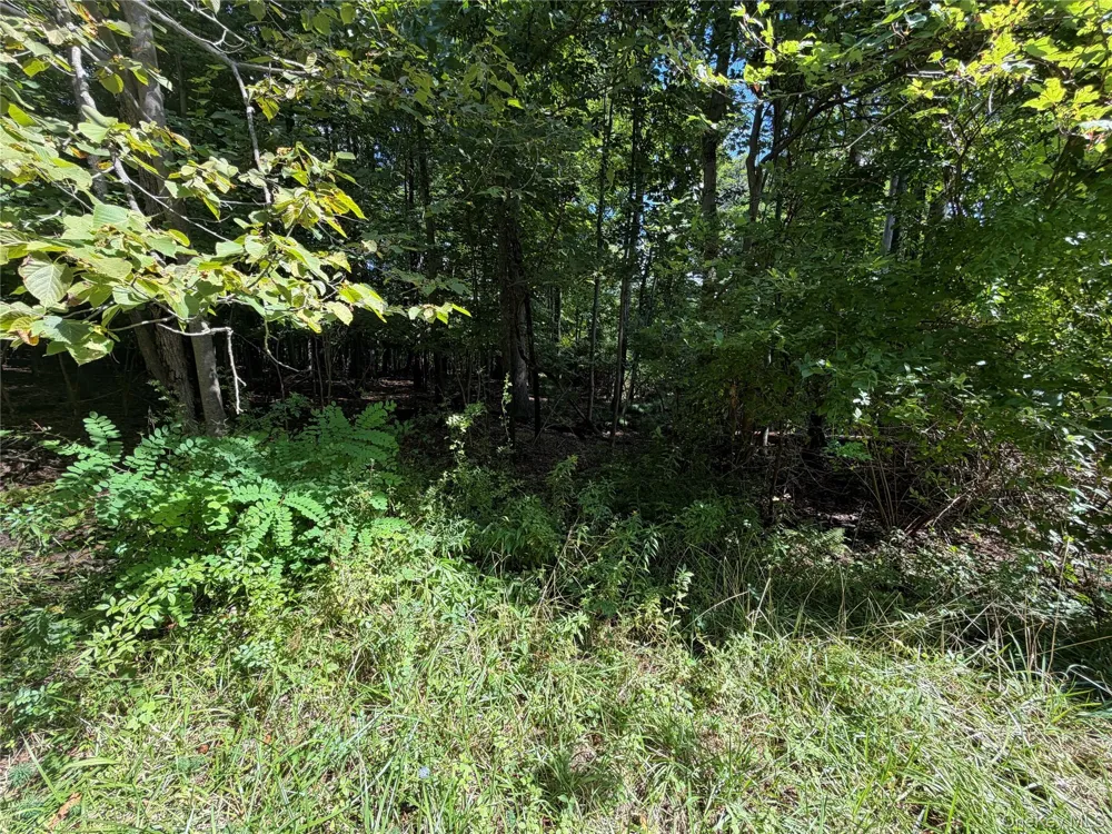 Lot 20.1 Mt Prosper Road Wurtsboro, NY 12790