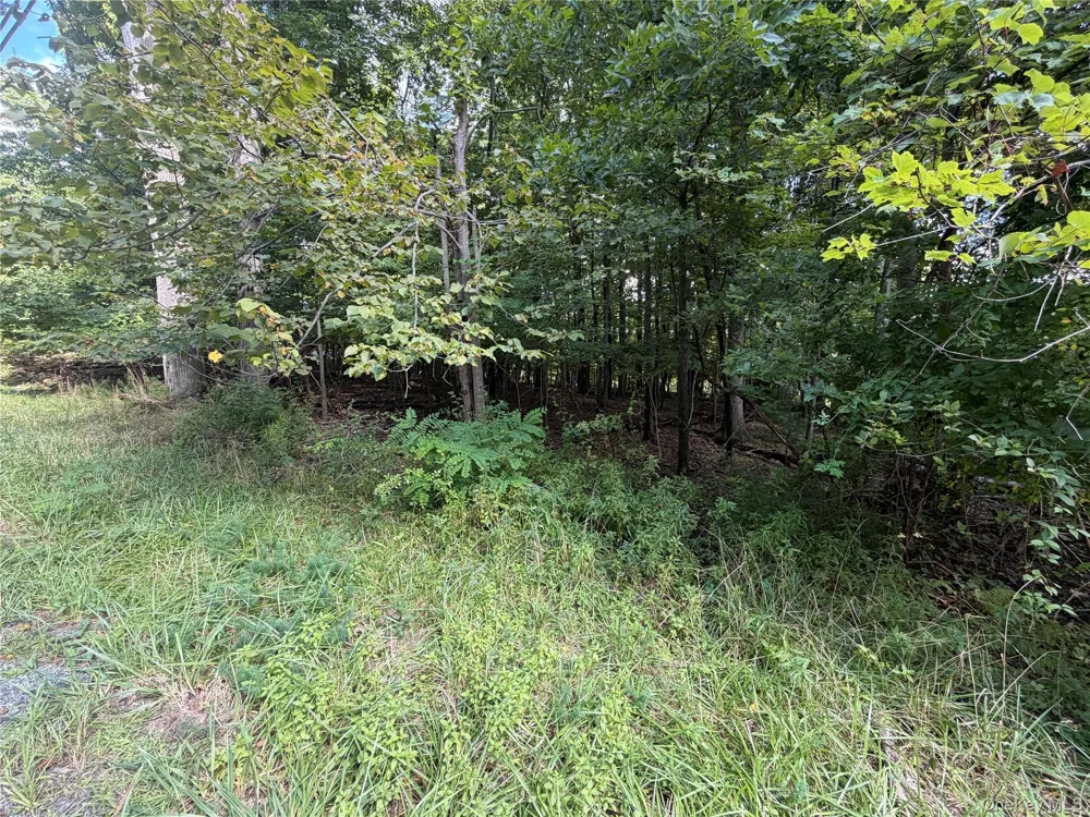 Lot 20.1 Mt Prosper Road Wurtsboro, NY 12790