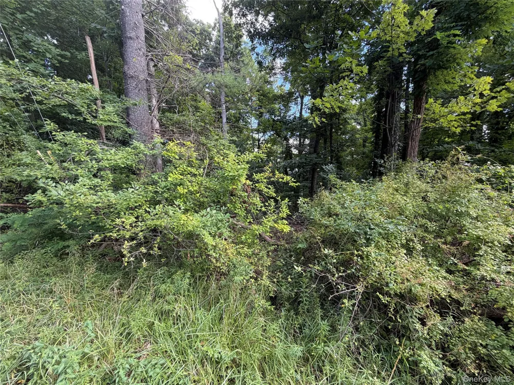 Lot 20.1 Mt Prosper Road Wurtsboro, NY 12790