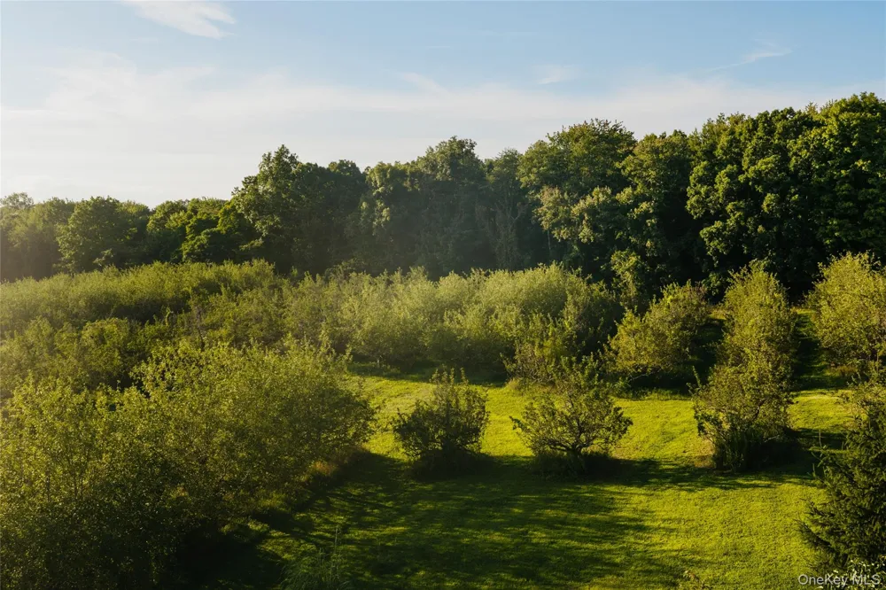 Fosler Road Plattekill, NY 12568