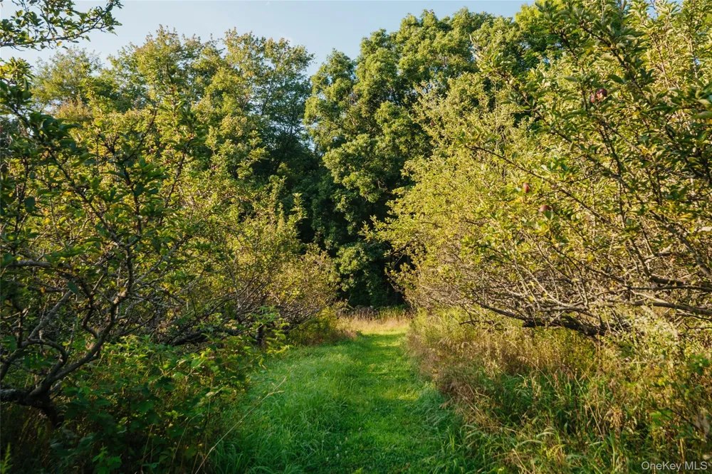 Fosler Road Plattekill, NY 12568