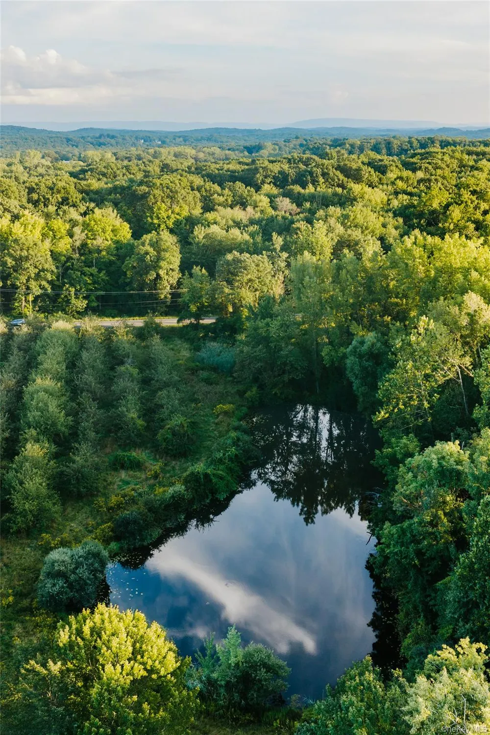 Fosler Road Plattekill, NY 12568