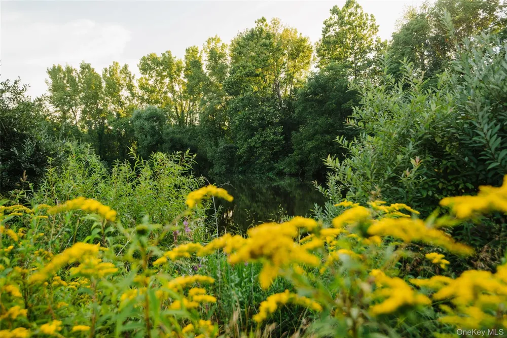 Fosler Road Plattekill, NY 12568