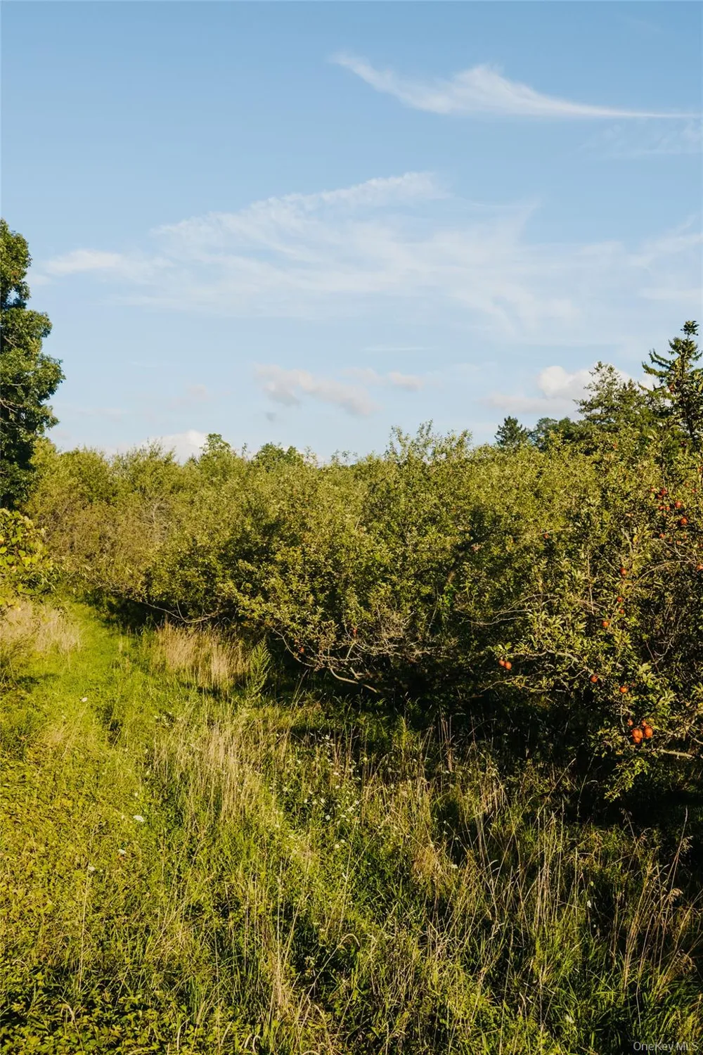 Fosler Road Plattekill, NY 12568