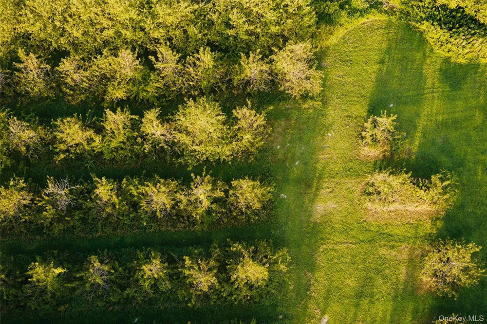 Fosler Road Plattekill, NY 12568