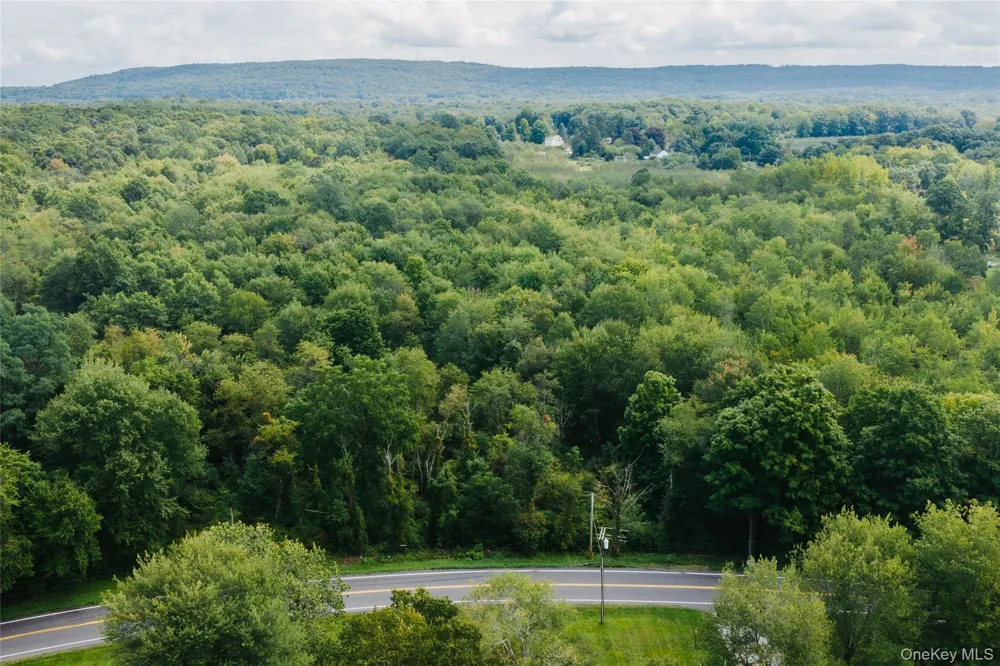 Plattekill Ardonia Road Wallkill, NY 12589