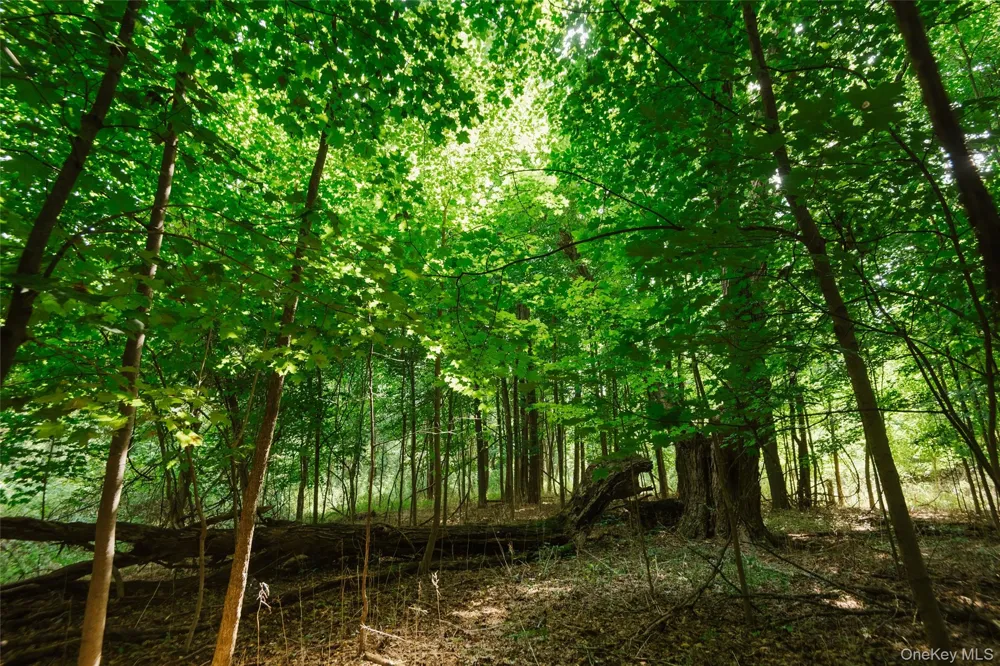 Plattekill Ardonia Road Wallkill, NY 12589