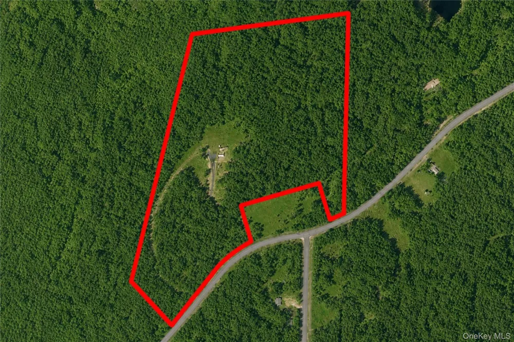 153 Roosevelt Avenue Cairo, NY 12413