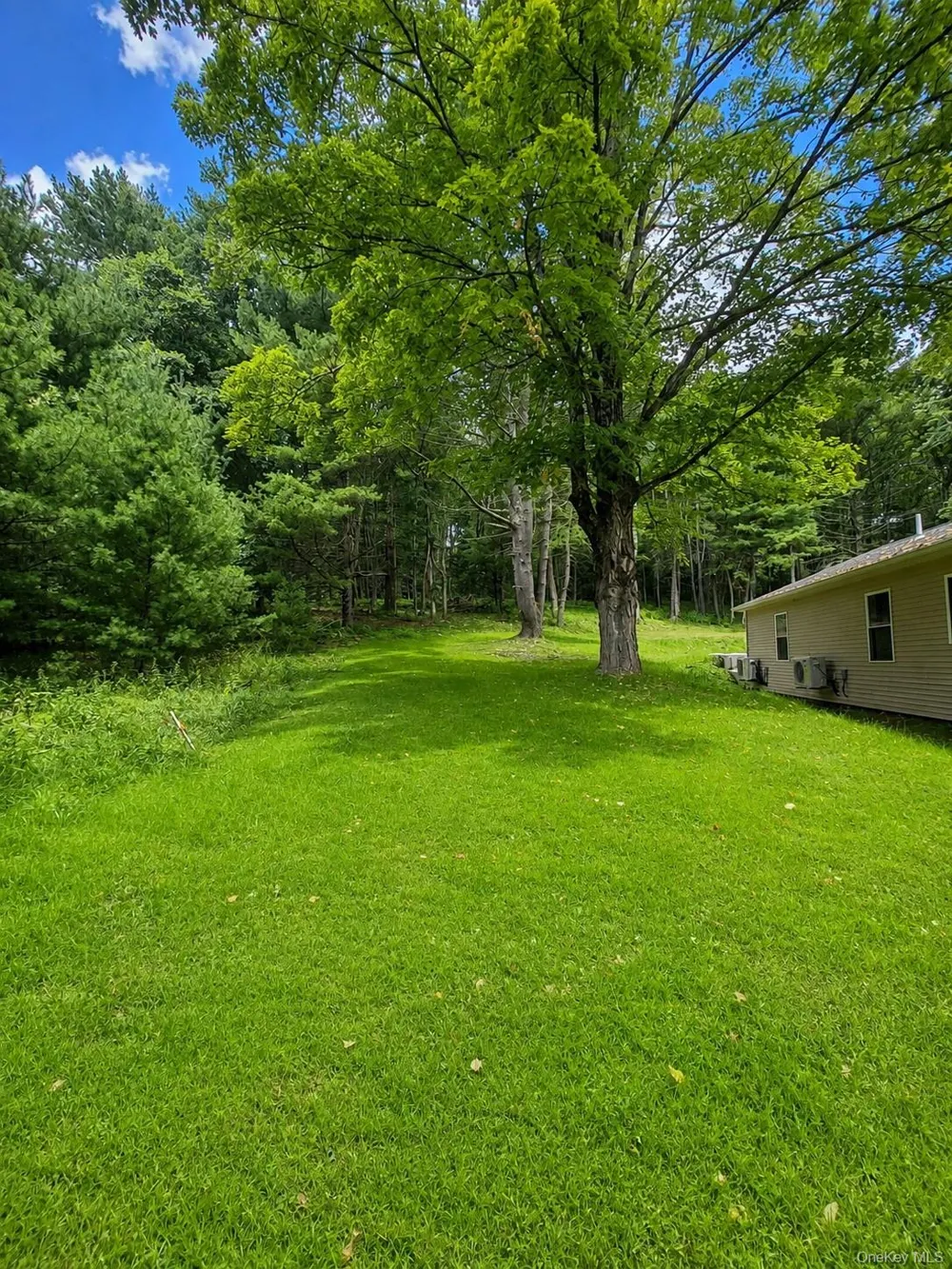 943 State Route 55 Eldred, NY 12732