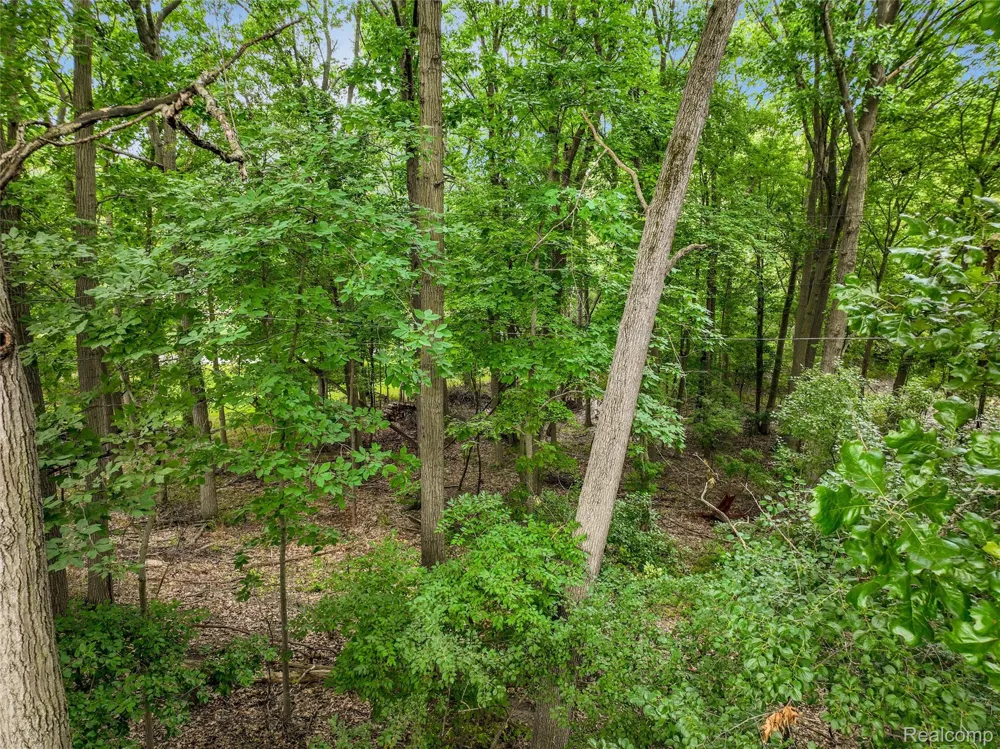 24800 Cromwell Drive Franklin Village, MI 48025