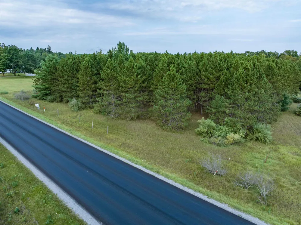 Barlow Road Haynes Township, MI 48742