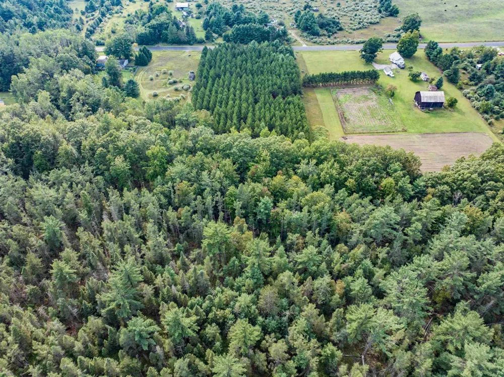 Barlow Road Haynes Township, MI 48742