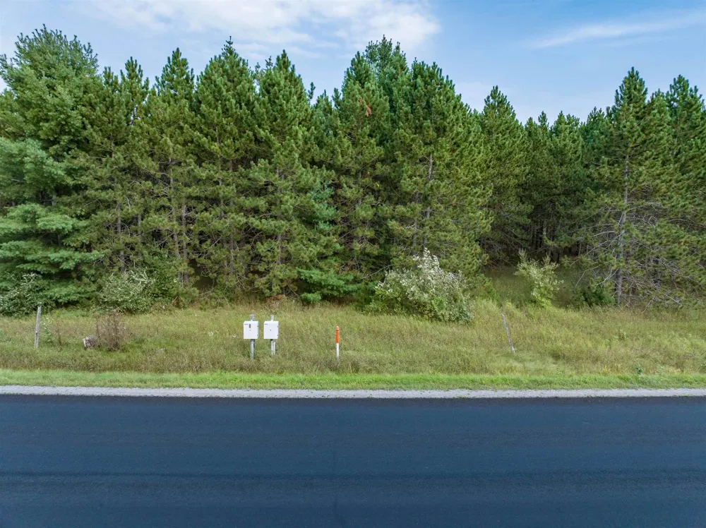 Barlow Road Haynes Township, MI 48742