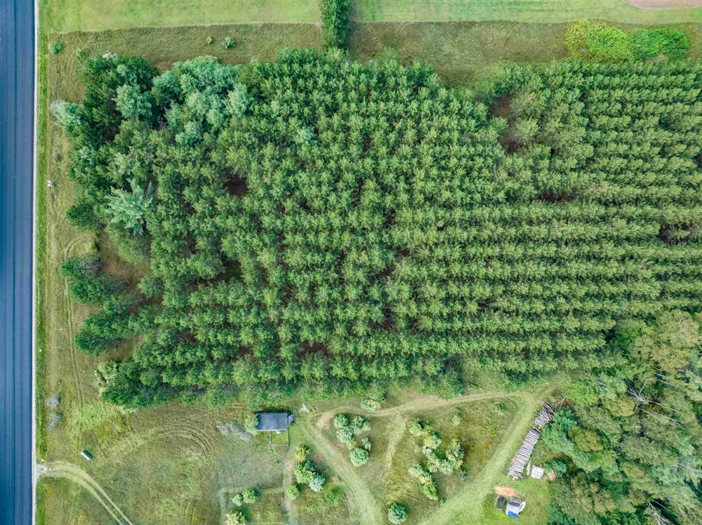 Barlow Road Haynes Township, MI 48742