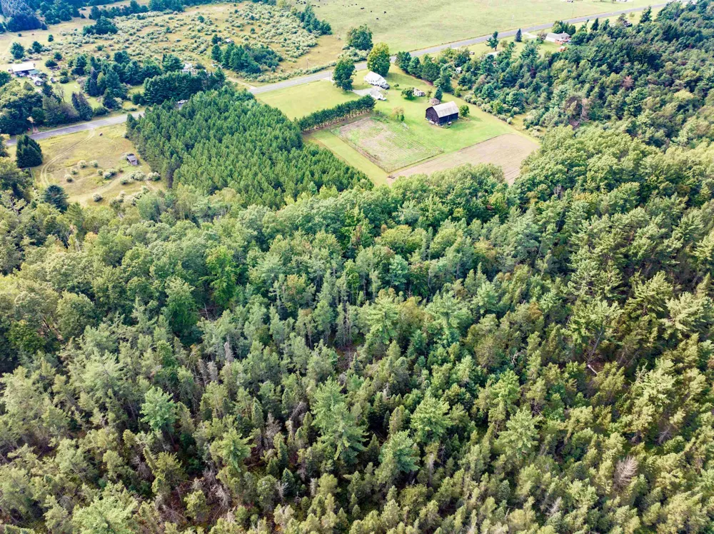 Barlow Road Haynes Township, MI 48742
