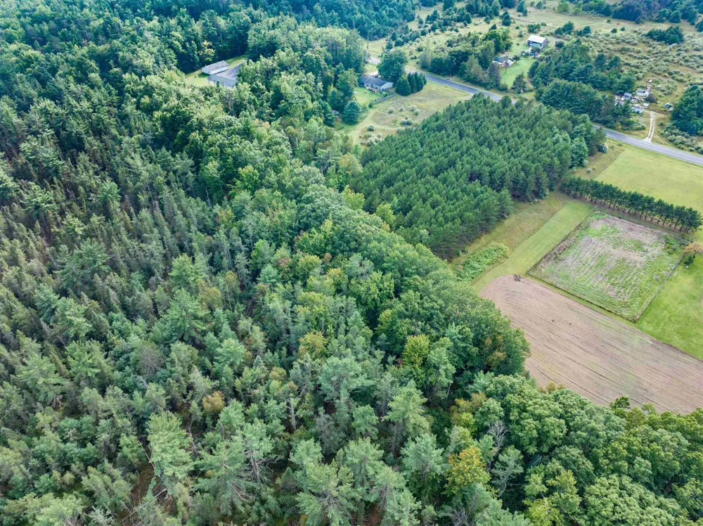 Barlow Road Haynes Township, MI 48742