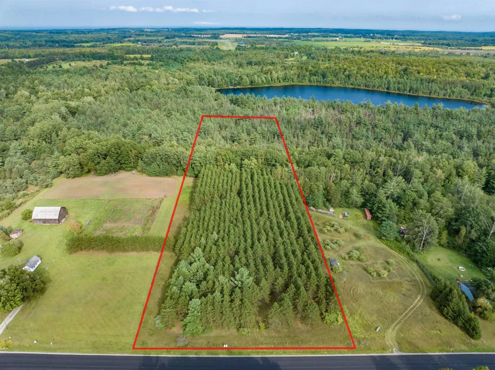 Barlow Road Haynes Township, MI 48742