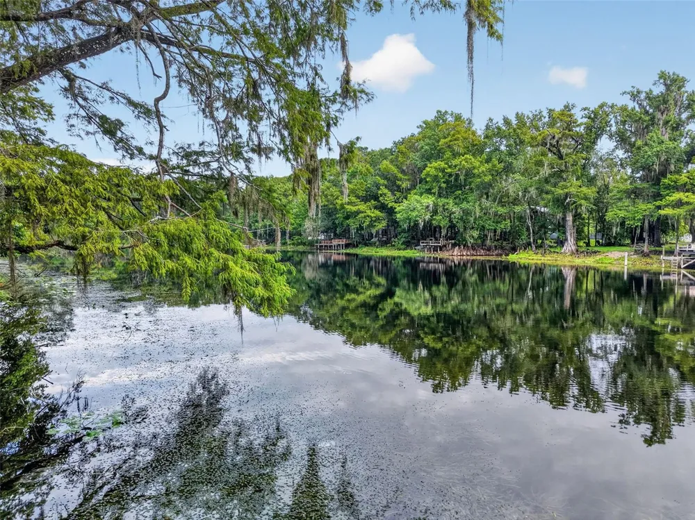 10388 SW 64TH AVENUE Bushnell, FL 33513