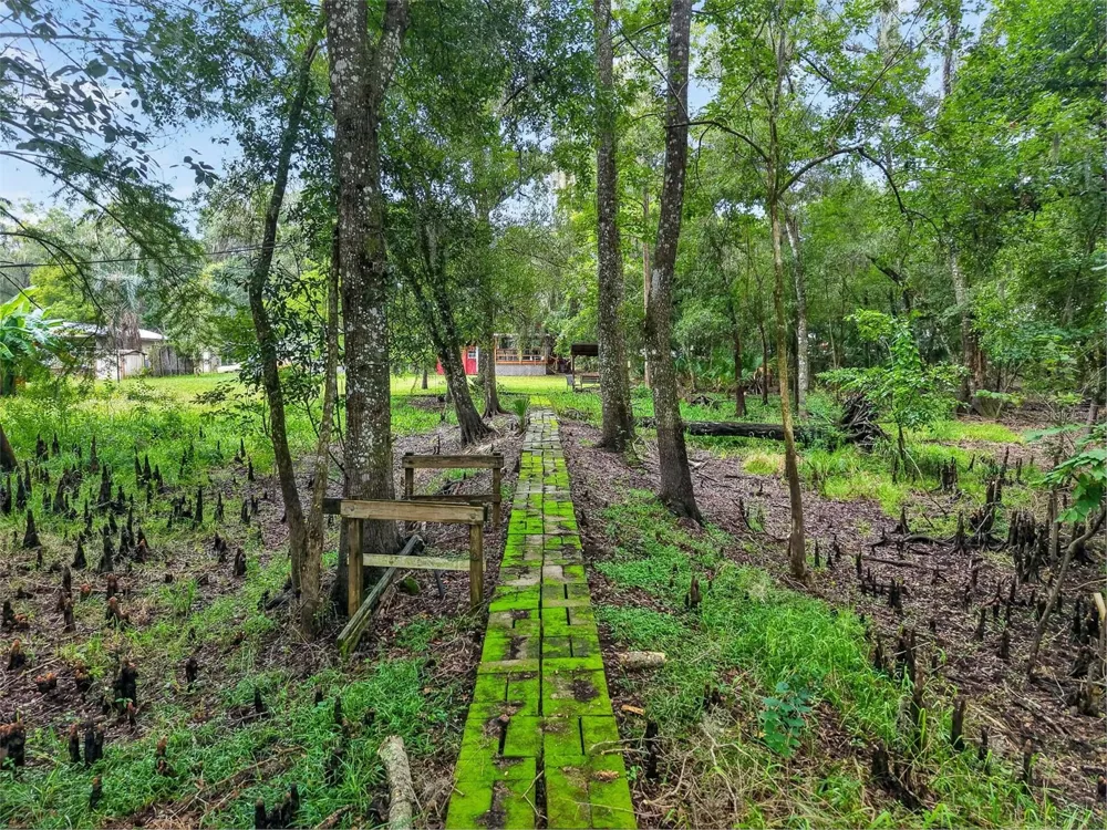 10388 SW 64TH AVENUE Bushnell, FL 33513
