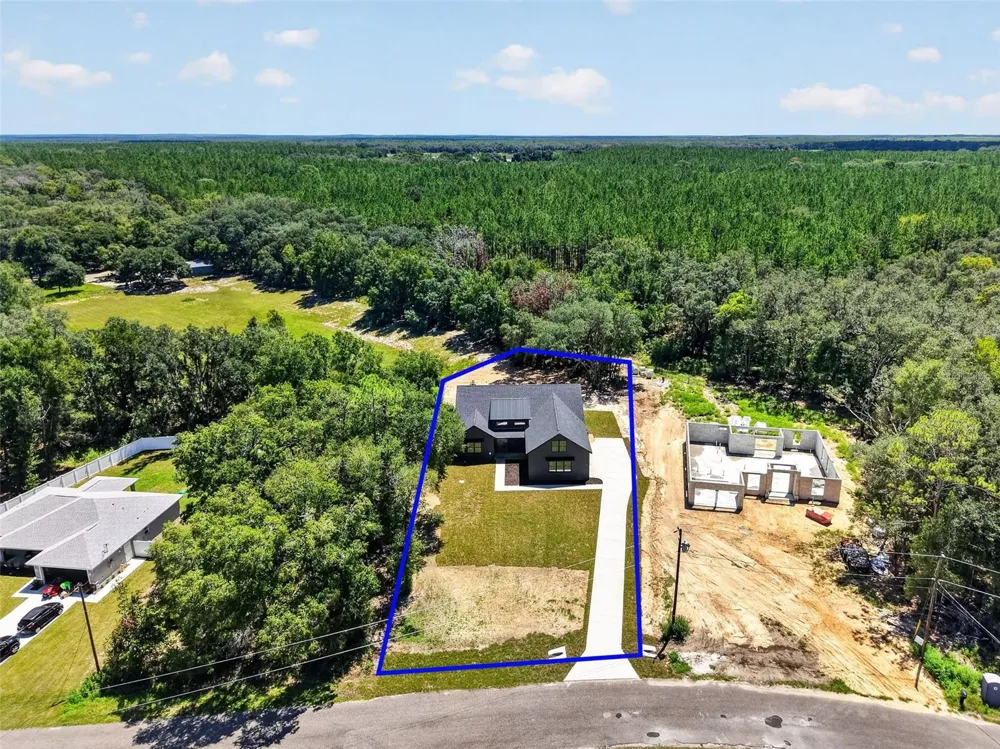 60 GUAVA PASS Ocklawaha, FL 32179