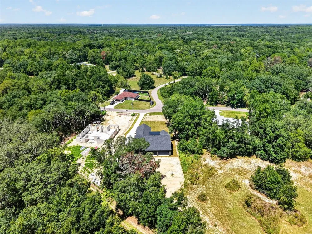 60 GUAVA PASS Ocklawaha, FL 32179