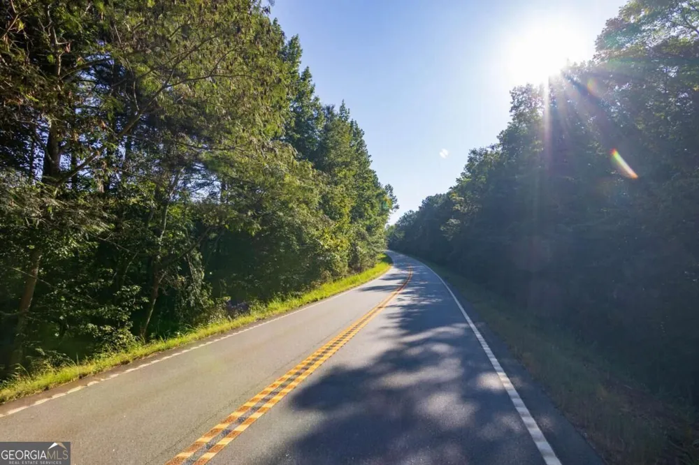 TRACT 2 Highway 0036 Woodland, GA 31836