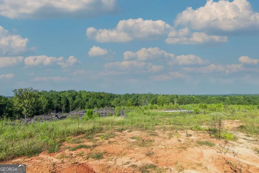 TRACT 2 Highway 0036 Woodland, GA 31836