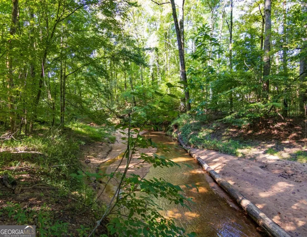 TRACT 2 Highway 0036 Woodland, GA 31836
