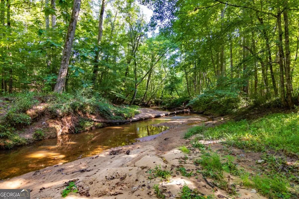TRACT 2 Highway 0036 Woodland, GA 31836