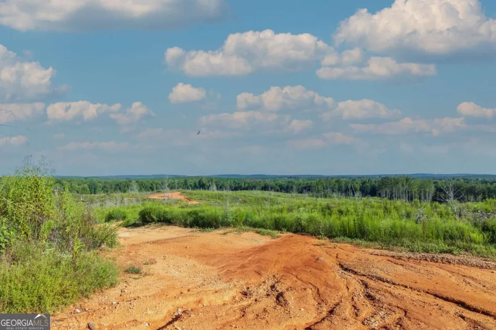 TRACT 2 Highway 0036 Woodland, GA 31836