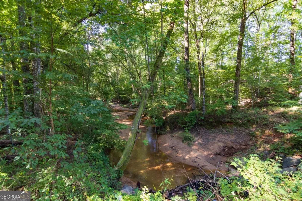 TRACT 2 Highway 0036 Woodland, GA 31836