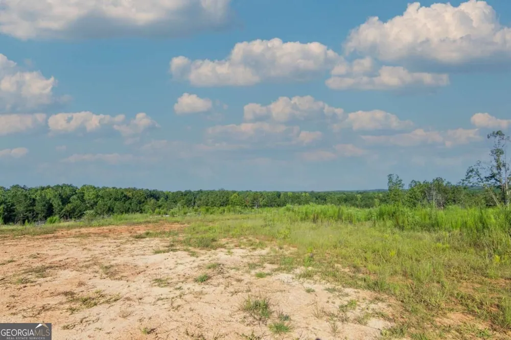 TRACT 2 Highway 0036 Woodland, GA 31836