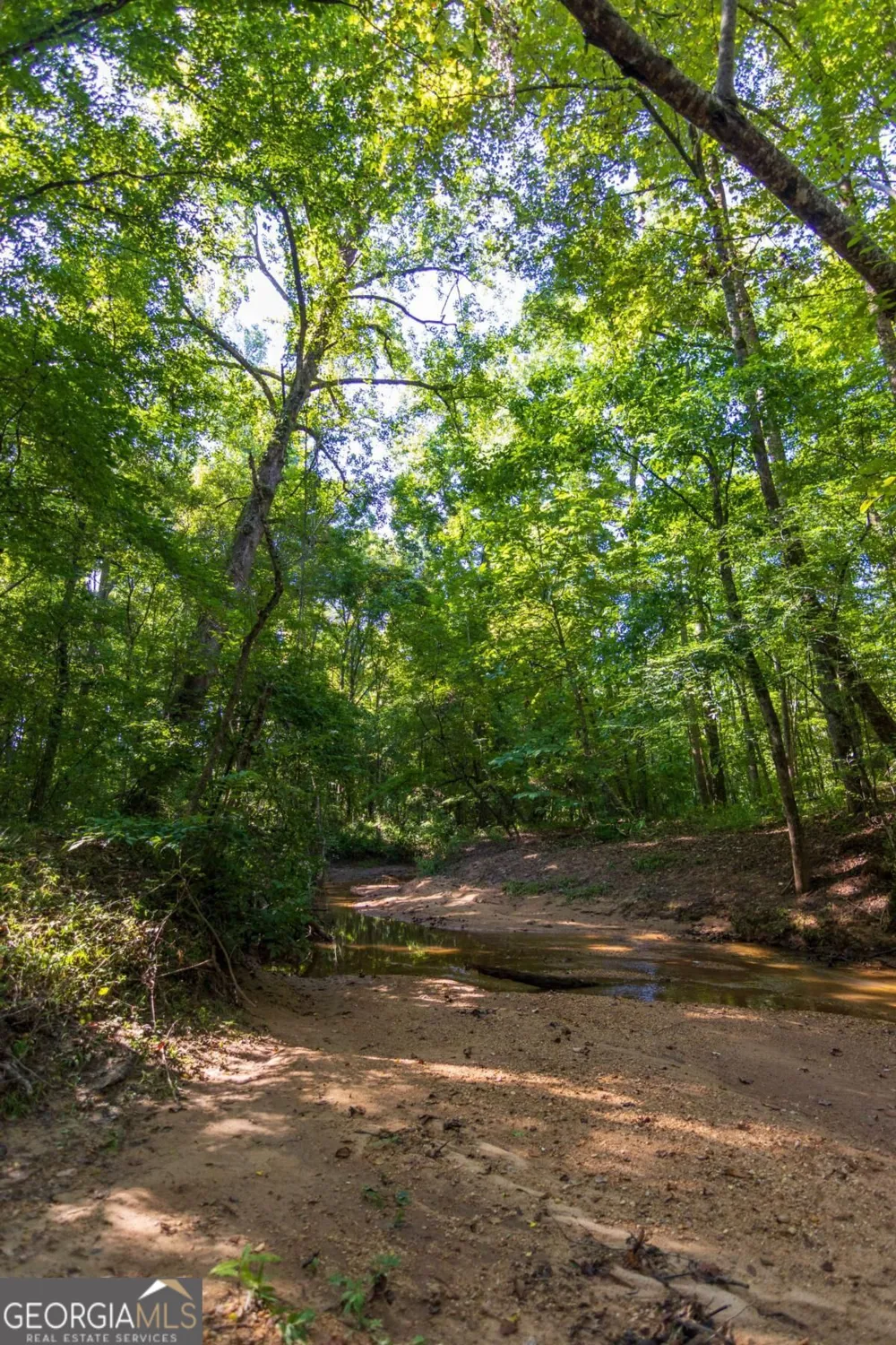 TRACT 2 Highway 0036 Woodland, GA 31836