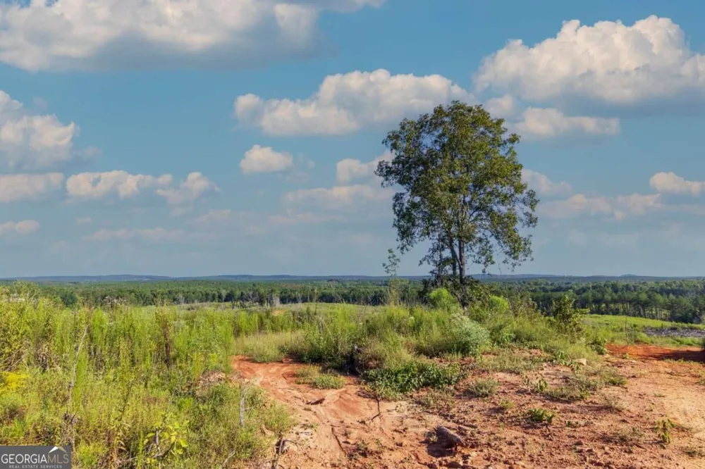 TRACT 2 Highway 0036 Woodland, GA 31836
