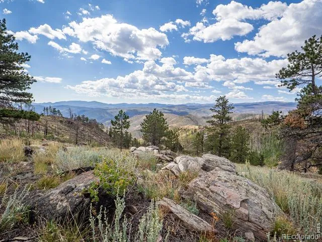 909 Forest Road 171 Red Feather Lakes, CO 80545
