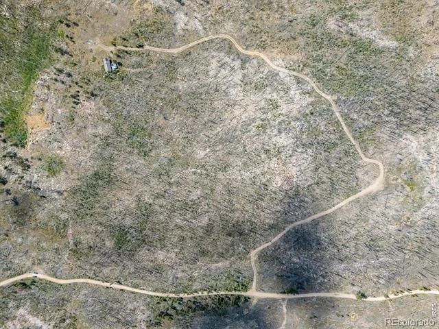909 Forest Road 171 Red Feather Lakes, CO 80545