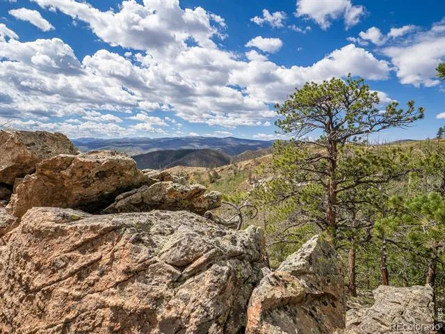 909 Forest Road 171 Red Feather Lakes, CO 80545
