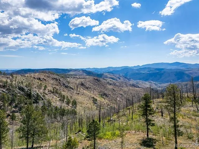 909 Forest Road 171 Red Feather Lakes, CO 80545
