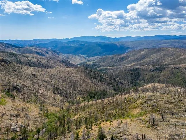 909 Forest Road 171 Red Feather Lakes, CO 80545