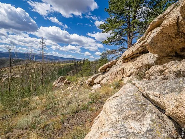 909 Forest Road 171 Red Feather Lakes, CO 80545