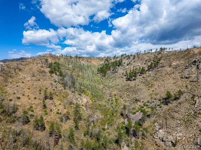 909 Forest Road 171 Red Feather Lakes, CO 80545