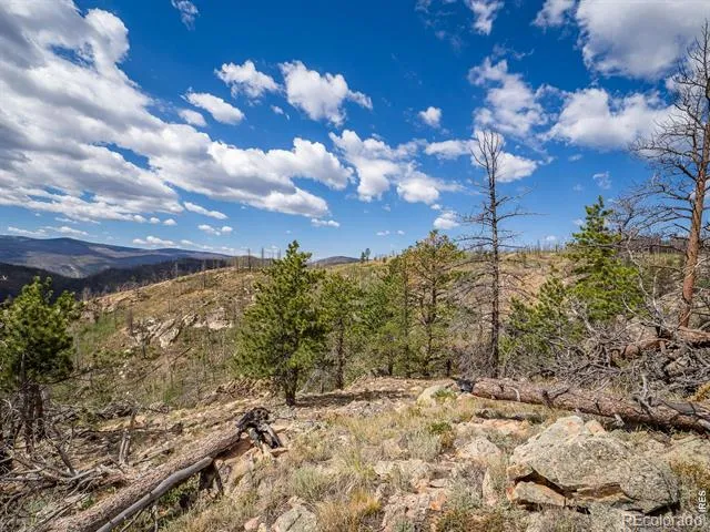 909 Forest Road 171 Red Feather Lakes, CO 80545